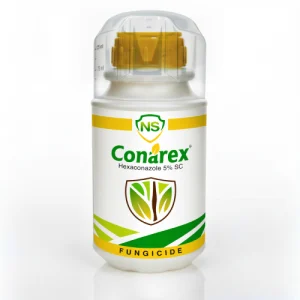 NS Conarex