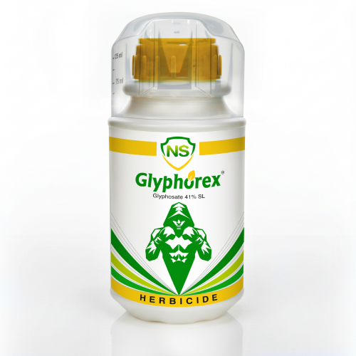 NS Glyphorex