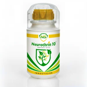 NS Neurothrin 10