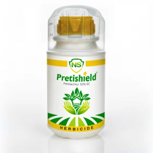 NS Pritishield