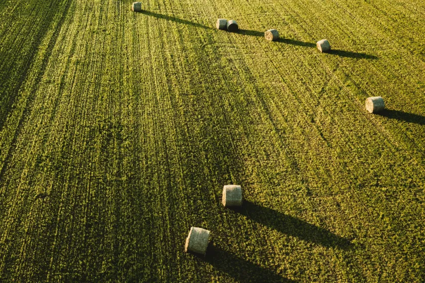 Why Is Soil Health Important?